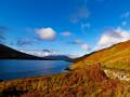 Drive the Wild Atlantic Way