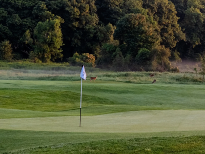 Dromoland Castle Golf Vouchers