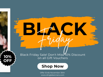 Black Friday Voucher Sale